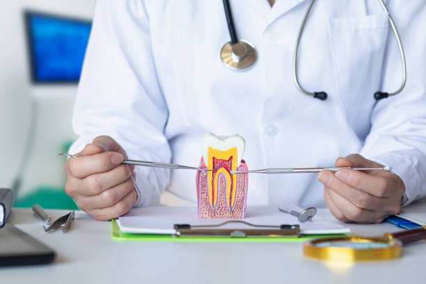 Best Emergency Dentist Near Me  in Brewster Hill, NY